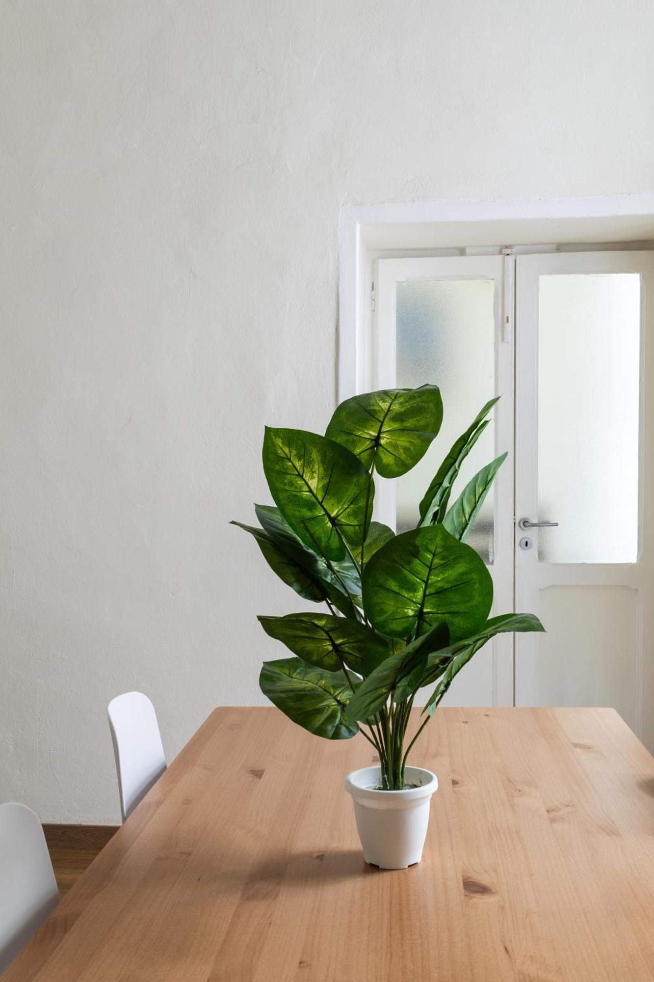 Cozy Historical Flat Napoli Διαμέρισμα Εξωτερικό φωτογραφία